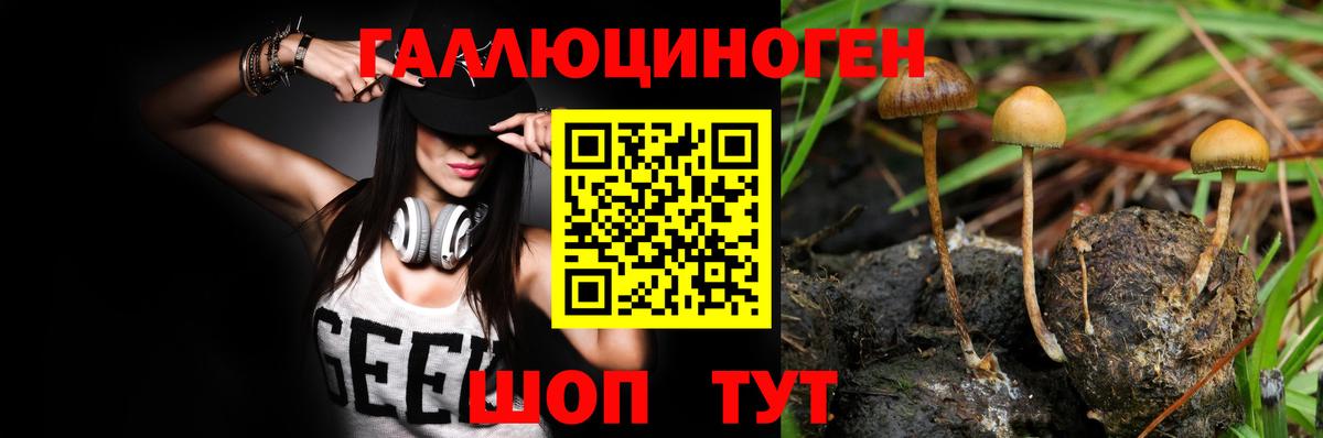 Тимашёвск  Галлюциногенные грибы ЛСД  Вход с VPN 
