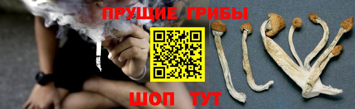 Галлюциногенные грибы Magic Shrooms Тимашёвск